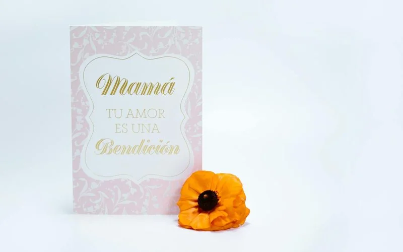 feliz dia de las madres frases