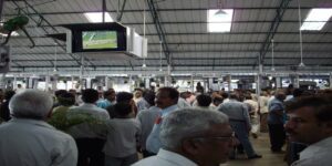 Houston Astros Scandal: Impact on Sports Betting Integrity