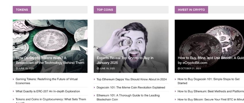 Imagen de la reseña de billeteras de Ecryptobit.com