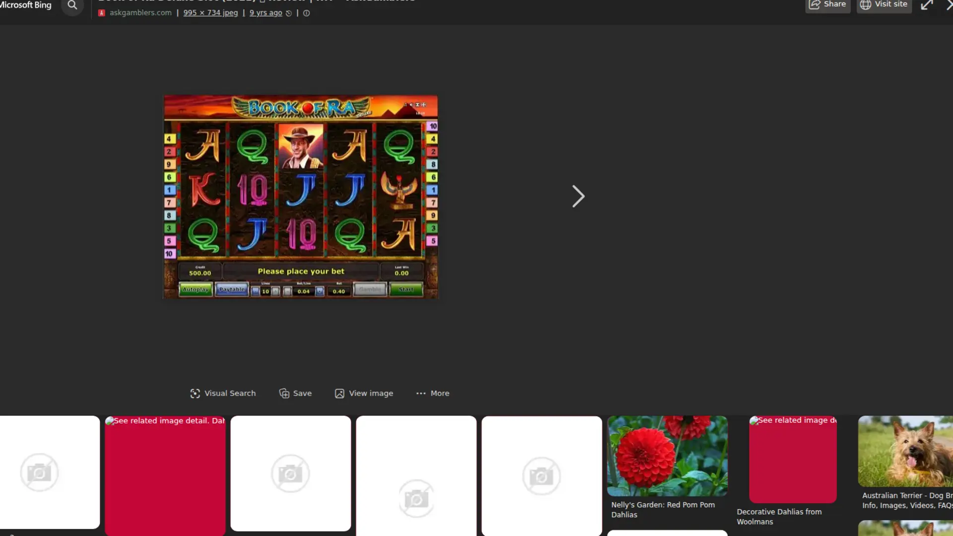 Book of Ra Slot Alternatives