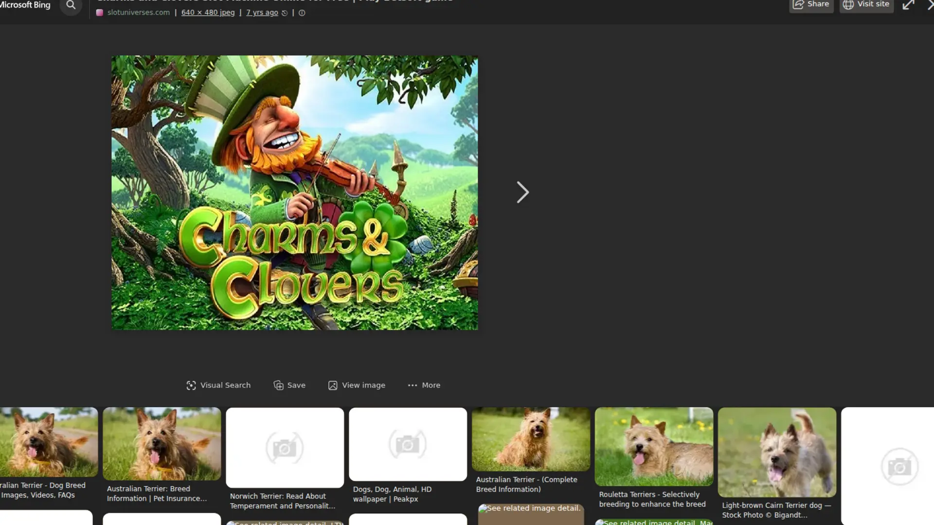 Charms and Clovers Slot Game