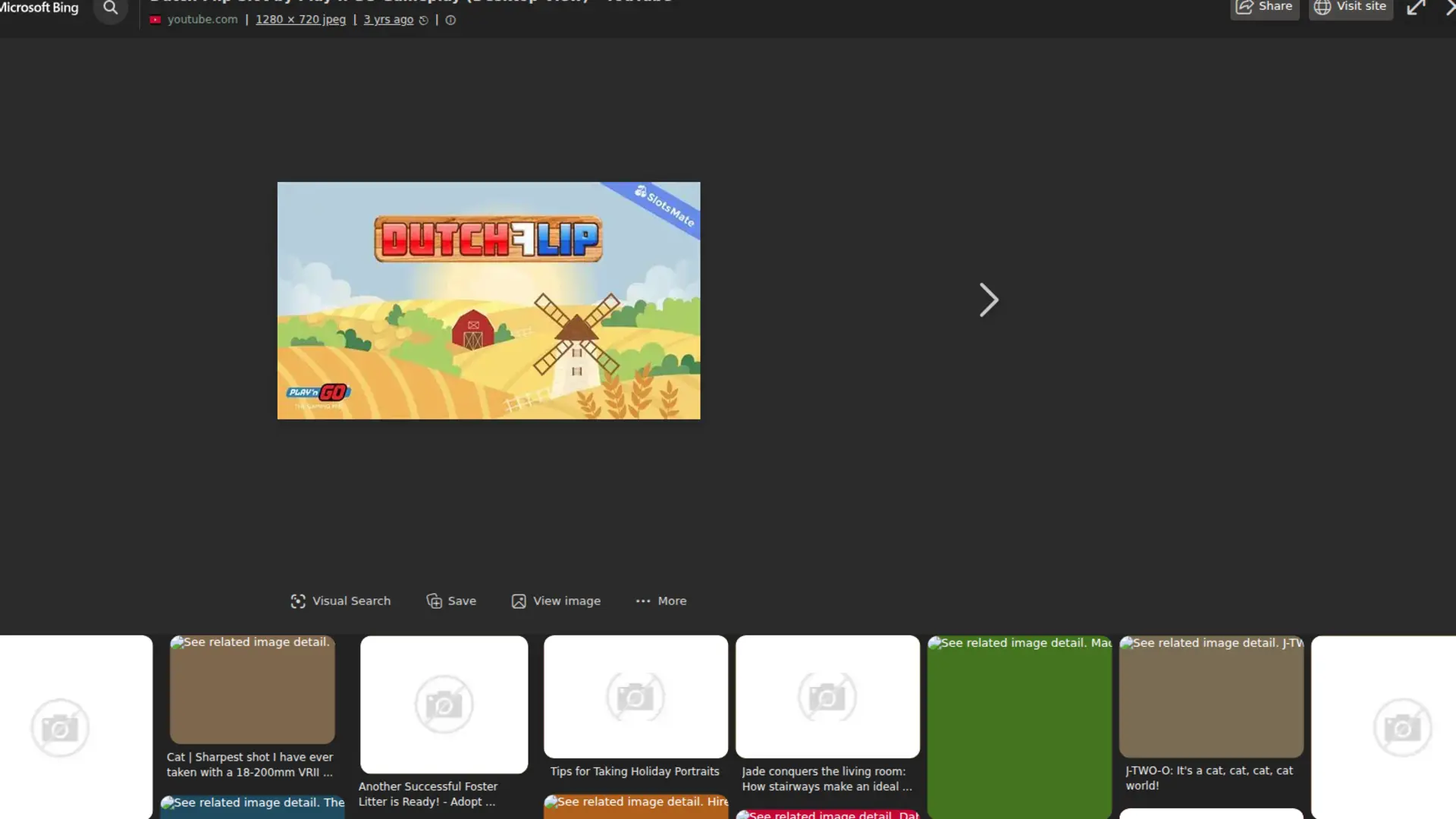 Dutch Flip Slot Game